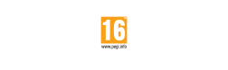 nvidia 16 logotype